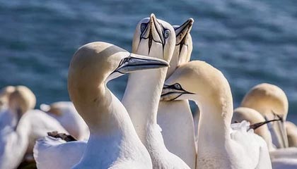 必赢官网入口：开启线上娱乐新纪元的安心通道