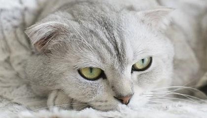 星空体育官网：在星光与热情之间，开启你专属的体育娱乐之旅